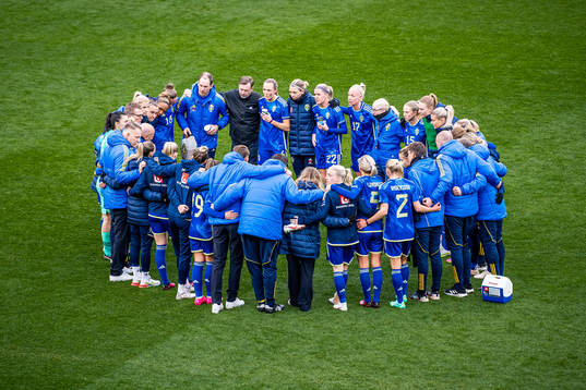 Players and coaches of Sweden are gathered