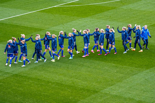 Players of Sweden