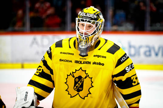 Skellefteås målvakt Linus Söderström deppar