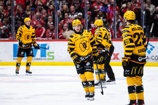 Skellefteås Jonathan Pudas deppar