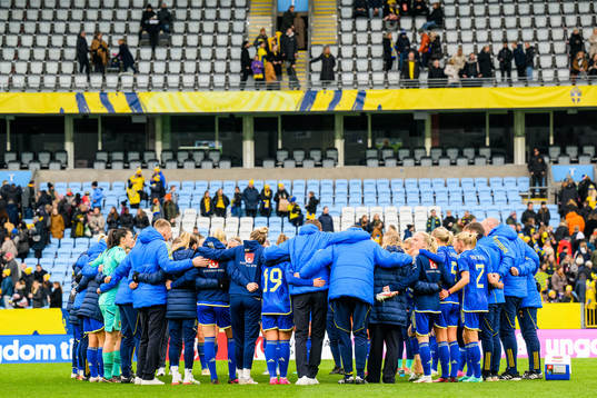 Players of Sweden gather