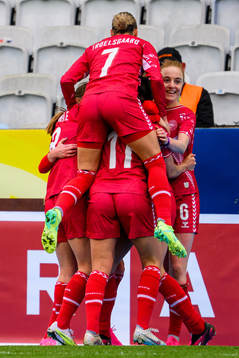 Players of Denmark celebrate