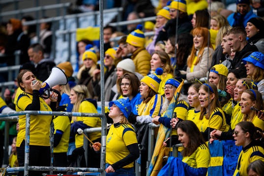 Supporters of Sweden