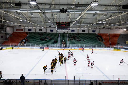 Brynäs spelare och Täbys spelare på uppvärmningen