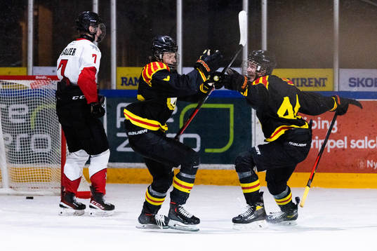 Brynäs Gustav Hillström jublar