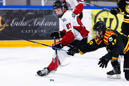 Täbys Romeo Edvardsen Sörensen och Brynäs Loke Berg