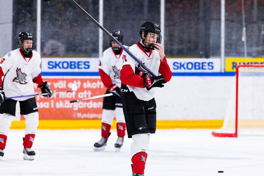 Täbys Theo Stockselius deppar