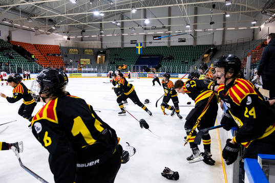Brynäs spelare jublar