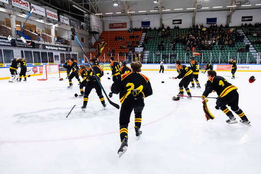 Brynäs spelare jublar