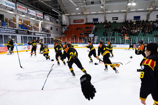 Brynäs spelare jublar