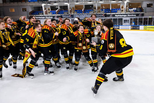 Brynäs spelare jublar