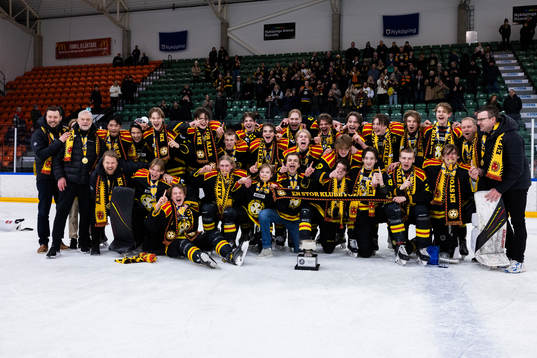 Brynäs spelare jublar