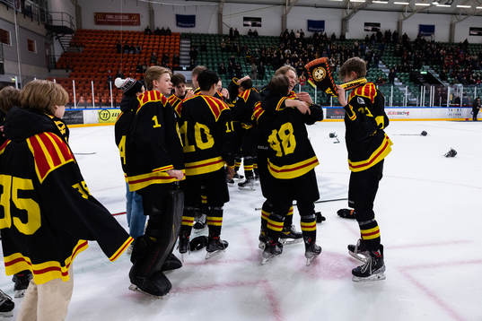 Brynäs spelare jublar