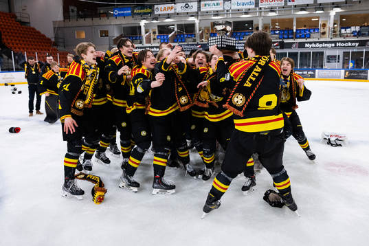 Brynäs spelare jublar