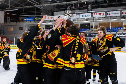 Brynäs spelare jublar