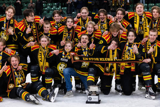 Brynäs spelare jublar
