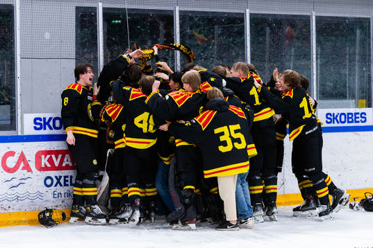 Brynäs spelare jublar