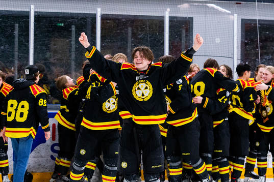 Brynäs Thed Jobs jublar