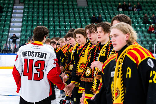 Brynäs spelare