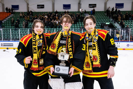 Brynäs Michal Svrcek, målvakt William Forsberg och Gustav