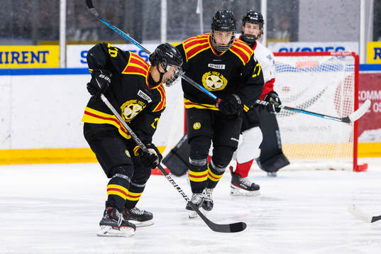 Brynäs Henrik Nguyen