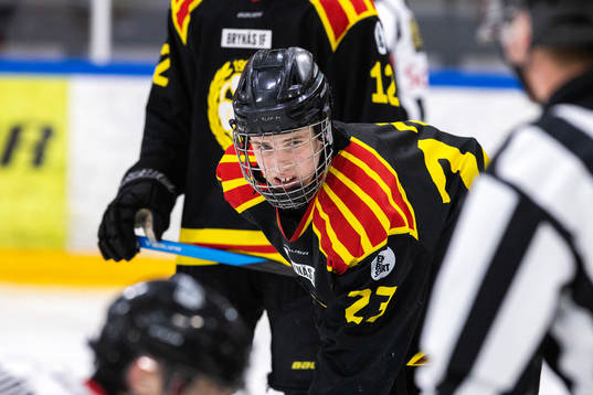 Brynäs Hugo Östberg