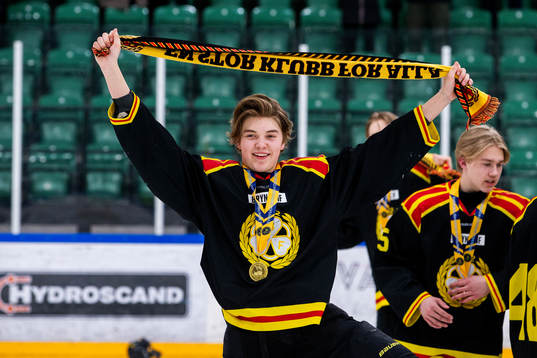 Brynäs Carl Öhman jublar