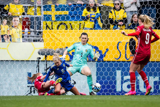 goalkeeper Zecira Musovic of Sweden
