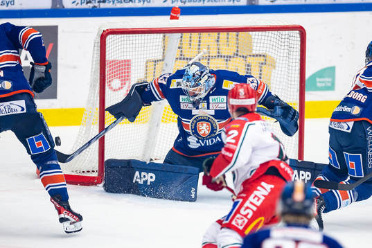 Växjös målvakt Emil Larmi