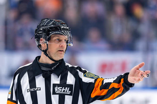 Domare Mikael Nord