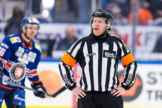 Domare Mikael Holm