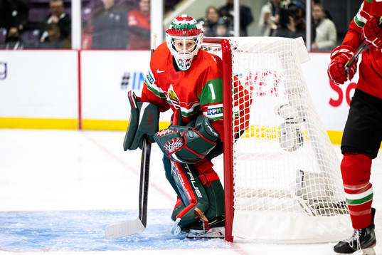 Goaltender Aniko Nemeth of Hungary