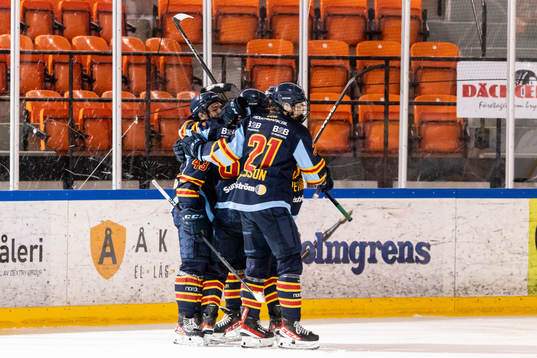 Djurgårdens spelare jublar
