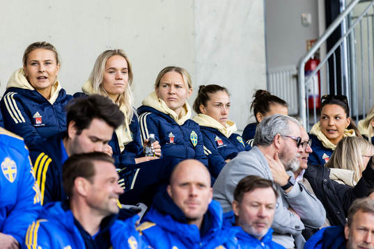 Svenska damlandslagets spelare på läktaren