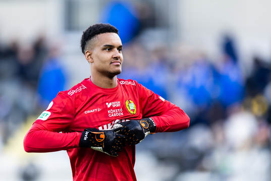 Hammarbys målvakt Oliver Dovin deppar