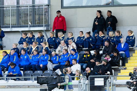 Svenska damlandslaget i fotboll på läktaren
