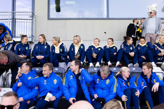Svenska damlandslaget i fotboll på läktaren