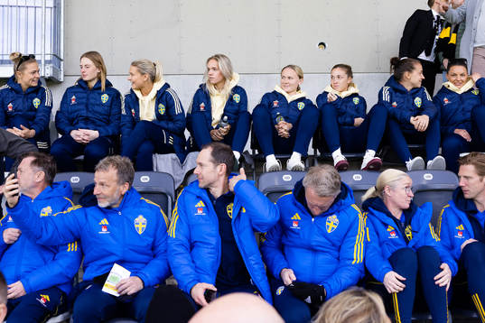 Svenska damlandslaget i fotboll på läktaren