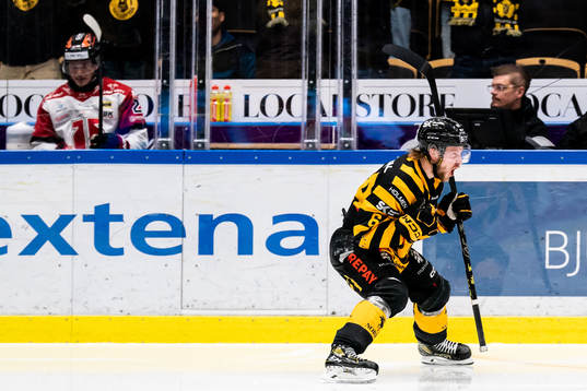 Skellefteås Jonathan Pudas jublar
