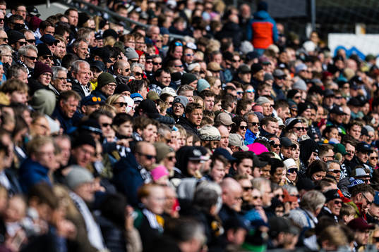 Spectators in the stands