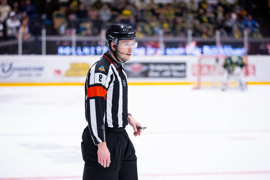 Domare Oscar Niklasson