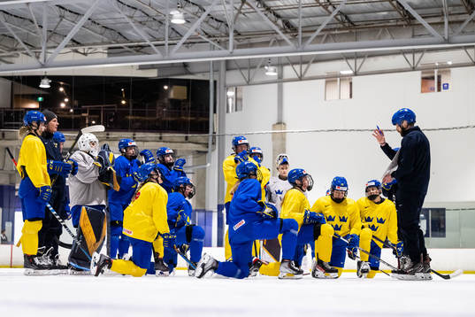 Players and head coach Ulf Lundberg of Sweden at a practice