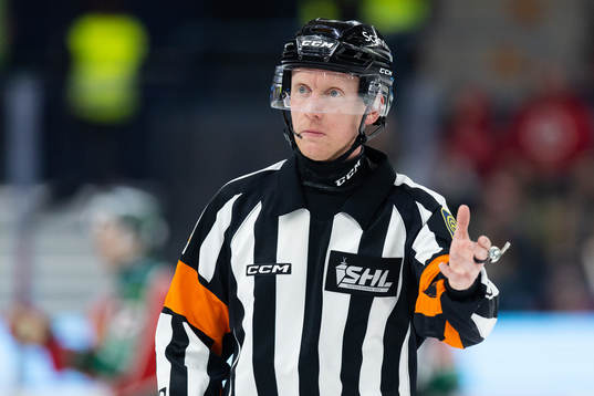 Domare Mikael Holm