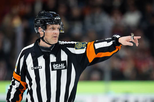 Domare Mikael Nord