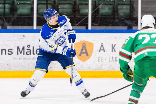 Leksands David Segh