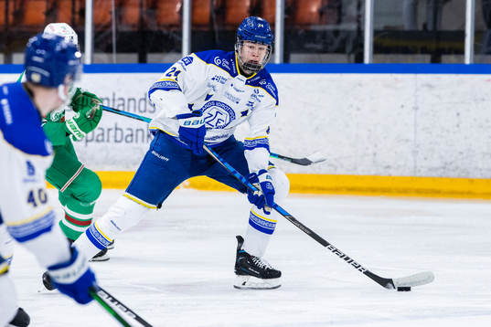 Leksands Dennis Altörn