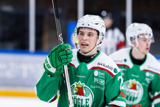 Rögles Vilmer Stahmann