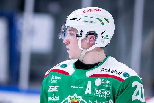 Rögles Viktor Smeds