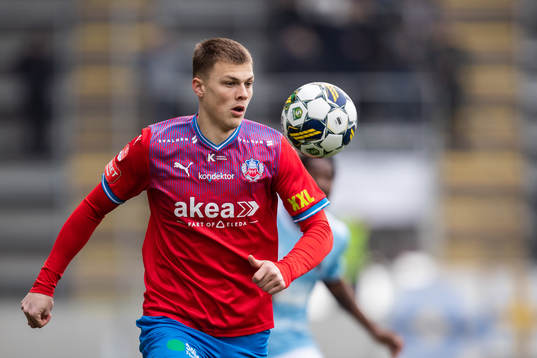 Helsingborgs Erik Ring