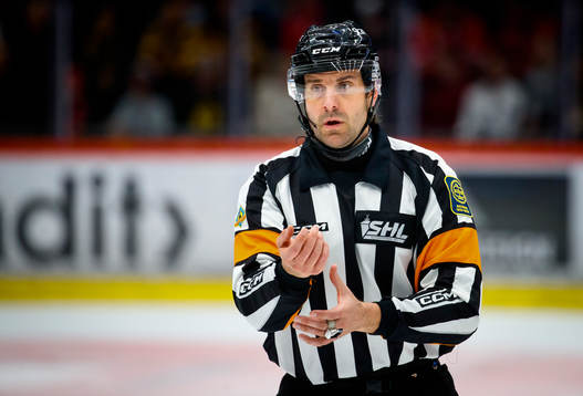 Domare Mikael Sjöqvist